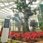 الحديقة القرآنية الحديقة القرآنية