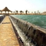 بحيرة موسى في حديقة القرآن الكريم في دبي بحيرة موسى في حديقة القرآن الكريم في دبي